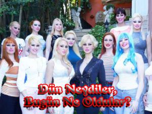 Kedicikler... NERELERDEN NERELERE GELDİLER!..