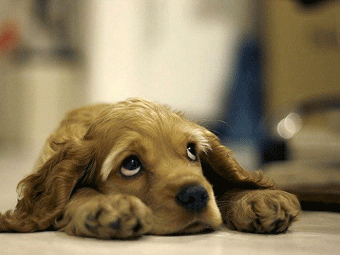 ''DÜNYA TURUNA ÇIKANA 100 BİN TL!'' 18