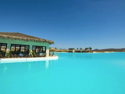 ''DÜNYA TURUNA ÇIKANA 100 BİN TL!'' 26