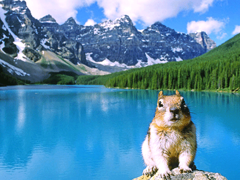 ''YÜKSEK MAAŞ VERDİKLERİ İÇİN YAŞAMAK İSTEYECEĞİNİZ ÜLKELER!'' 23