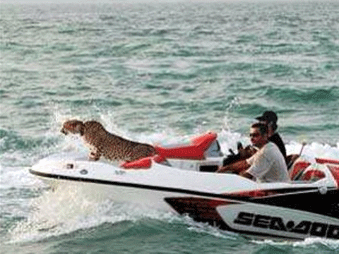 DUBAİ'NİN İNANILMAZ LÜKS HAYATLARINI GÖSTEREN 40 KARE! 14