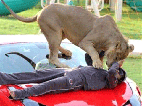 DUBAİ'NİN İNANILMAZ LÜKS HAYATLARINI GÖSTEREN 40 KARE! 18