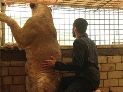 DUBAİ'NİN İNANILMAZ LÜKS HAYATLARINI GÖSTEREN 40 KARE! 19