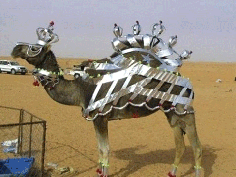 DUBAİ'NİN İNANILMAZ LÜKS HAYATLARINI GÖSTEREN 40 KARE! 26