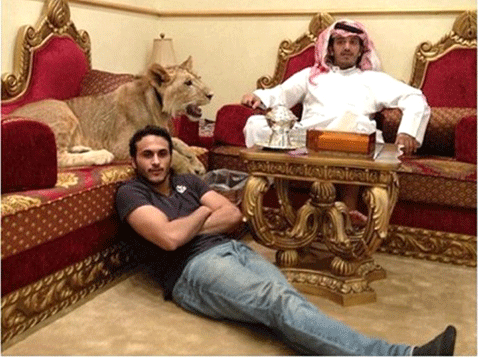 DUBAİ'NİN İNANILMAZ LÜKS HAYATLARINI GÖSTEREN 40 KARE! 36