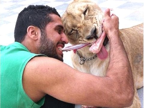 DUBAİ'NİN İNANILMAZ LÜKS HAYATLARINI GÖSTEREN 40 KARE! 37