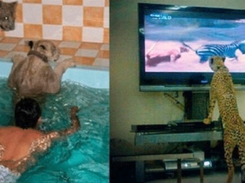 DUBAİ'NİN İNANILMAZ LÜKS HAYATLARINI GÖSTEREN 40 KARE! 38