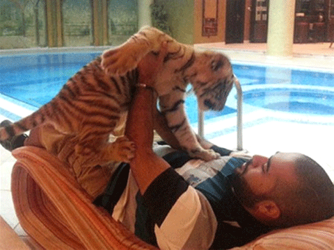 DUBAİ'NİN İNANILMAZ LÜKS HAYATLARINI GÖSTEREN 40 KARE! 8