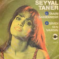 Seyyal Taner... ROCK'IN ÇILGIN KIZI İÇİNİ DÖKTÜ! 11