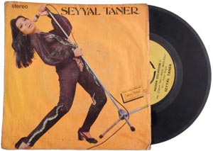 Seyyal Taner... ROCK'IN ÇILGIN KIZI İÇİNİ DÖKTÜ!