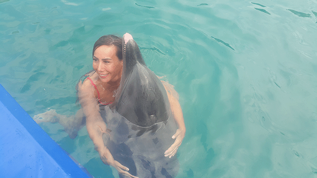 Asena... YUNUSLARLA DANS!.. 10