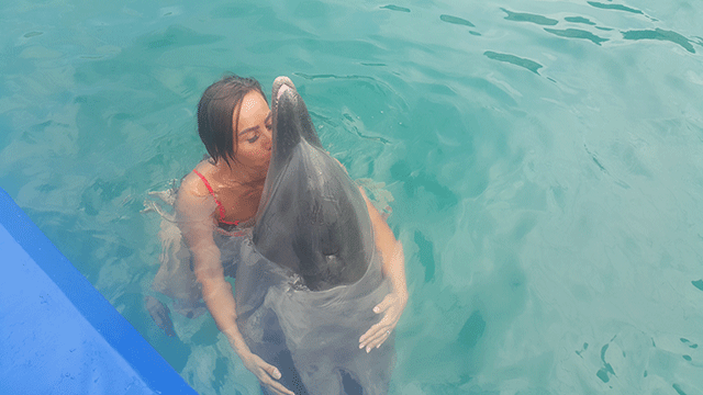 Asena... YUNUSLARLA DANS!.. 11