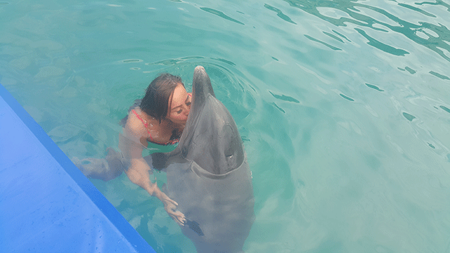 Asena... YUNUSLARLA DANS!.. 12