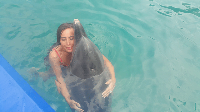 Asena... YUNUSLARLA DANS!.. 13