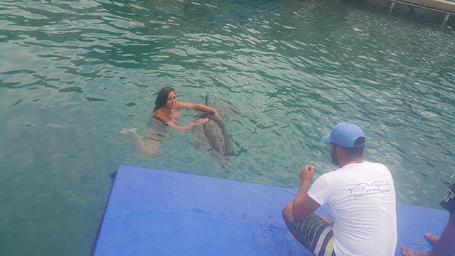 Asena... YUNUSLARLA DANS!.. 14