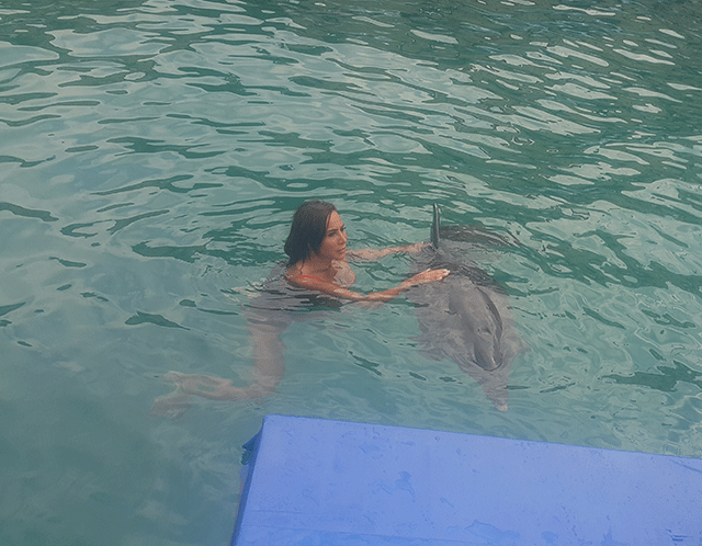 Asena... YUNUSLARLA DANS!.. 15