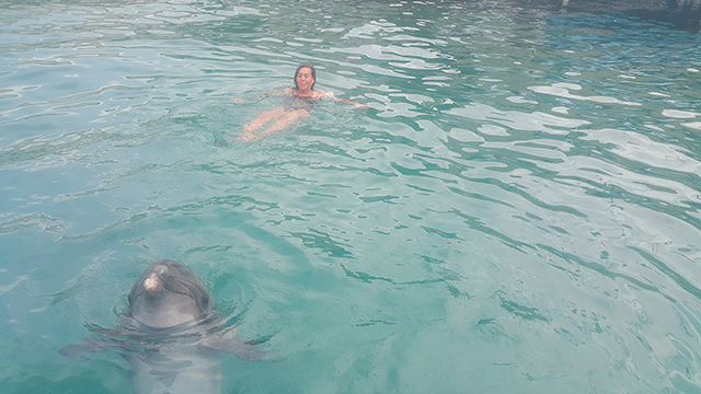 Asena... YUNUSLARLA DANS!.. 17