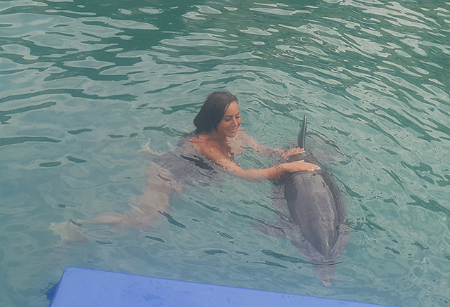 Asena... YUNUSLARLA DANS!.. 18