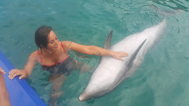 Asena... YUNUSLARLA DANS!.. 7