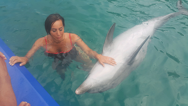 Asena... YUNUSLARLA DANS!.. 8