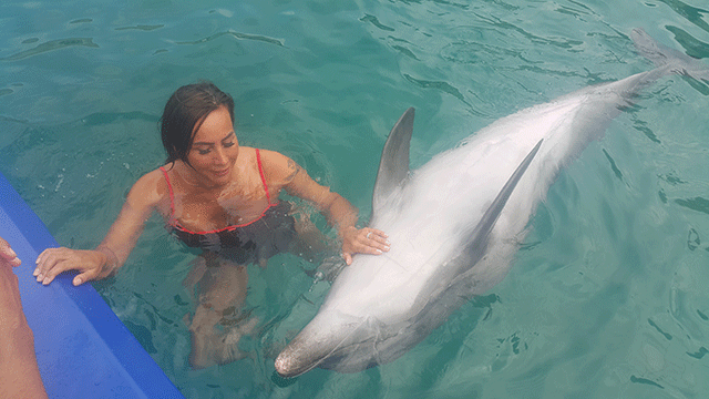 Asena... YUNUSLARLA DANS!.. 9