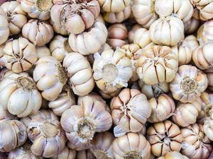 Limon suyunun içerisine sarımsak atıp içmenin faydaları