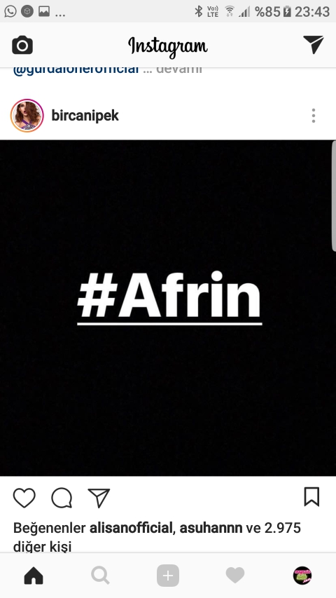 İŞTE ÜNLÜLERİN 'ZEYTİN DALI ' OPERASYONU MESAJLARI! 8