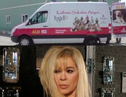 Son dakika / Zerrin Özer? TRAFİK KAZASI GEÇİRDİ?