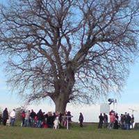 Yaprak Dökümü... VEDA ZAMANI GELDİ, ÇATTI, FİNAL GÖRÜNTÜLERİ YAYINLANDI!
