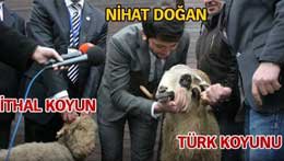 Nihat Doğan... TÜRK KOYUNUNU ALNINDAN ÖPTÜ!