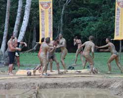 "Survivor Ünlüler-Gönüllüler"... PASCAL-NİHAT KAVGASI NİHAYET HALKA YANSITILDI!