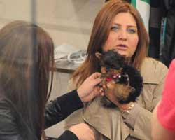 Sibel Can... "SEME"NİN SIRRI NE?