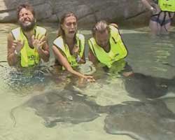 Nihat Doğan... DELİKANLILIĞIN KİTABINI YAZMIŞTI, KORKUDAN DUVARLARA TIRMANDI!