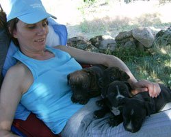 Dila Tezemir... PİTBULLARI İÇİN BAĞ EVİ ALDI!