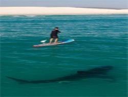 ÖLÜMÜNE İDDİANIN FOTOĞRAFI!