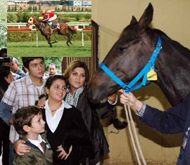 Sibel Can... ATI CANS BU KEZ NAL TOPLADI...