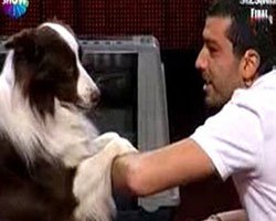 "Yetenek Sizsiniz Türkiye"... SEZON FİNALİ YAPILDI, BİRİNCİ KİM?