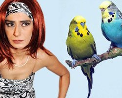 Yıldız Tilbe... HAYVANSEVERLER AYAĞA KALKACAK; TERBİYE ETMEK İSTERKEN, ÖLDÜRDÜ!