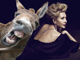 Gizem Özdilli... EŞEK ÇİFTLİĞİ KURACAK...