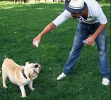 Tolga Karel... KÖPEĞİNİ KAYBETTİ, YASTA!