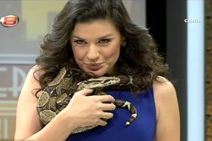 Oylum Talu... YILANI BOYNUNA DOLADI, ÖPÜCÜKLERE BOĞDU!