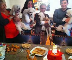 Ece Uslu... KÖPEĞİ ÇIT ÇIT'A GÖRKEMLİ DOĞUM GÜNÜ!