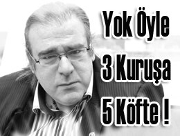 Nurcan Sabur yazdı? BAŞKASININ ÇİFTLİĞİNDEN YEMLENİP, BAŞKASININ ÇİFTLİĞİNE PİSLEYENLER?