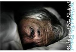 İstanbul Film Festivali... ALTIN LALE`LER SAHİPLERİNİ BULDU!