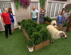 ` Çocuklar Duymasın`... KURBAN BAYRAMI TELAŞI!