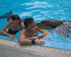 Sinan Akçıl...SIRP GÜZELİ BIRAKTI, YUNUSLARLA ÖPÜŞTÜ!