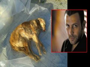 Nejat İşler...ÜNLÜ OYUNCUNUN KÖPEĞİ `LODOS`,ZEHİRLENEREK ÖLDÜ!