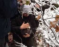 `Kurtlar Vadisi Pusu`... AV SAHNESİ İÇİN ÖRNEK ÇALIŞMA!