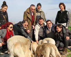 Haldun Dormen... SOKAK HAYVANLARI İÇİN ADA GÖNÜLLÜLERİ İLE BULUŞTU!
