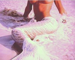 Candice Swanepoel... SEKSİ KEDİ Mİ, DENİZ KIZI MI?